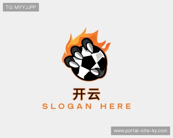 关于开云官方网站